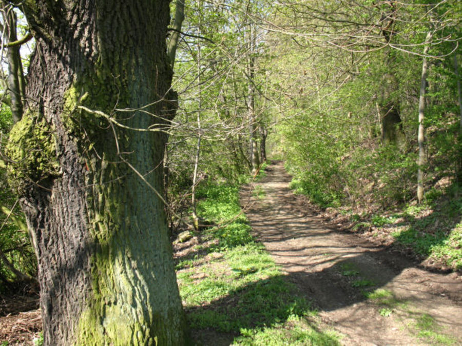 Wanderung zur Talsperre